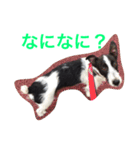れお鉄 Part②（個別スタンプ：17）