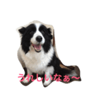 れお鉄 Part②（個別スタンプ：18）