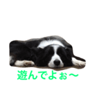 れお鉄 Part②（個別スタンプ：21）
