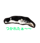 れお鉄 Part②（個別スタンプ：22）