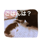 スエさんです（個別スタンプ：10）