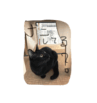 猫と時々男子（個別スタンプ：4）