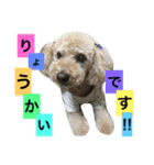 まろんすたんぷ！（個別スタンプ：1）