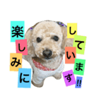 まろんすたんぷ！（個別スタンプ：2）