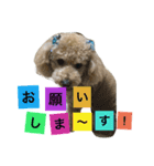 まろんすたんぷ！（個別スタンプ：3）