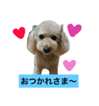 まろんすたんぷ！（個別スタンプ：5）