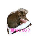 毎日色んな顔を見せてくれるめいです。（個別スタンプ：5）