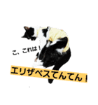 ハッピーセット（個別スタンプ：3）