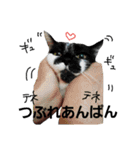 ハッピーセット（個別スタンプ：11）