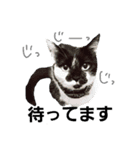 ハッピーセット（個別スタンプ：12）