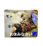 ハッピーセット（個別スタンプ：14）