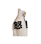 にゃーーーー！（個別スタンプ：16）