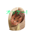 颯汰01（個別スタンプ：3）