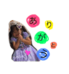 ひなはやと（個別スタンプ：1）