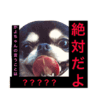 かよです！！（個別スタンプ：2）