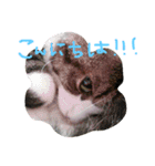 neconeco1212（個別スタンプ：6）