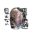 neconeco1212（個別スタンプ：8）