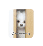 コッパーすたんぷ 1（個別スタンプ：1）