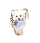 コッパーすたんぷ 1（個別スタンプ：4）