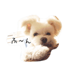 コッパーすたんぷ 1（個別スタンプ：7）