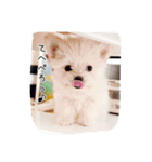 コッパーすたんぷ 1（個別スタンプ：9）