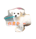 コッパーすたんぷ 1（個別スタンプ：13）