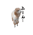 ネコとかいろいろ（個別スタンプ：7）
