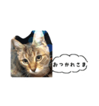 my cat me-chann 4（個別スタンプ：6）