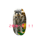 ロン♡モモ（個別スタンプ：1）