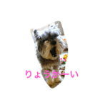 ロン♡モモ（個別スタンプ：7）