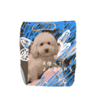 毎日おにゃ子（個別スタンプ：1）