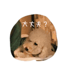 毎日おにゃ子（個別スタンプ：3）