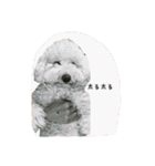 毎日おにゃ子（個別スタンプ：10）