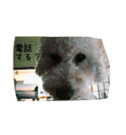 毎日おにゃ子（個別スタンプ：12）