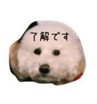 毎日おにゃ子（個別スタンプ：22）