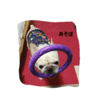 nanahachi3（個別スタンプ：1）
