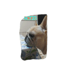 nanahachi3（個別スタンプ：7）