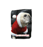 nanahachi3（個別スタンプ：8）