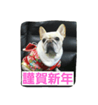nanahachi3（個別スタンプ：9）