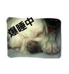 nanahachi3（個別スタンプ：11）