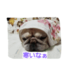 nanahachi3（個別スタンプ：13）