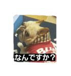 nanahachi3（個別スタンプ：14）