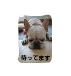 nanahachi3（個別スタンプ：16）