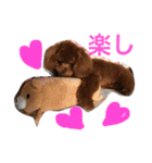 愛犬のかいくん（個別スタンプ：2）