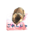 うちのはなぴょん（個別スタンプ：1）