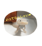 〜うぱうぱ〜ウーパールーパー第2弾（個別スタンプ：2）