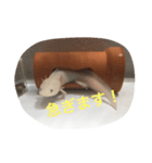 〜うぱうぱ〜ウーパールーパー第2弾（個別スタンプ：4）