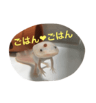 〜うぱうぱ〜ウーパールーパー第2弾（個別スタンプ：10）