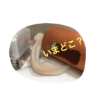 〜うぱうぱ〜ウーパールーパー第2弾（個別スタンプ：14）