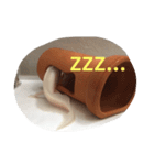 〜うぱうぱ〜ウーパールーパー第2弾（個別スタンプ：24）